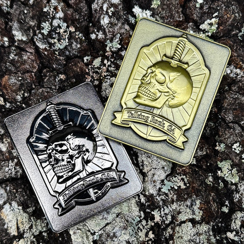 AE Challenge Coin