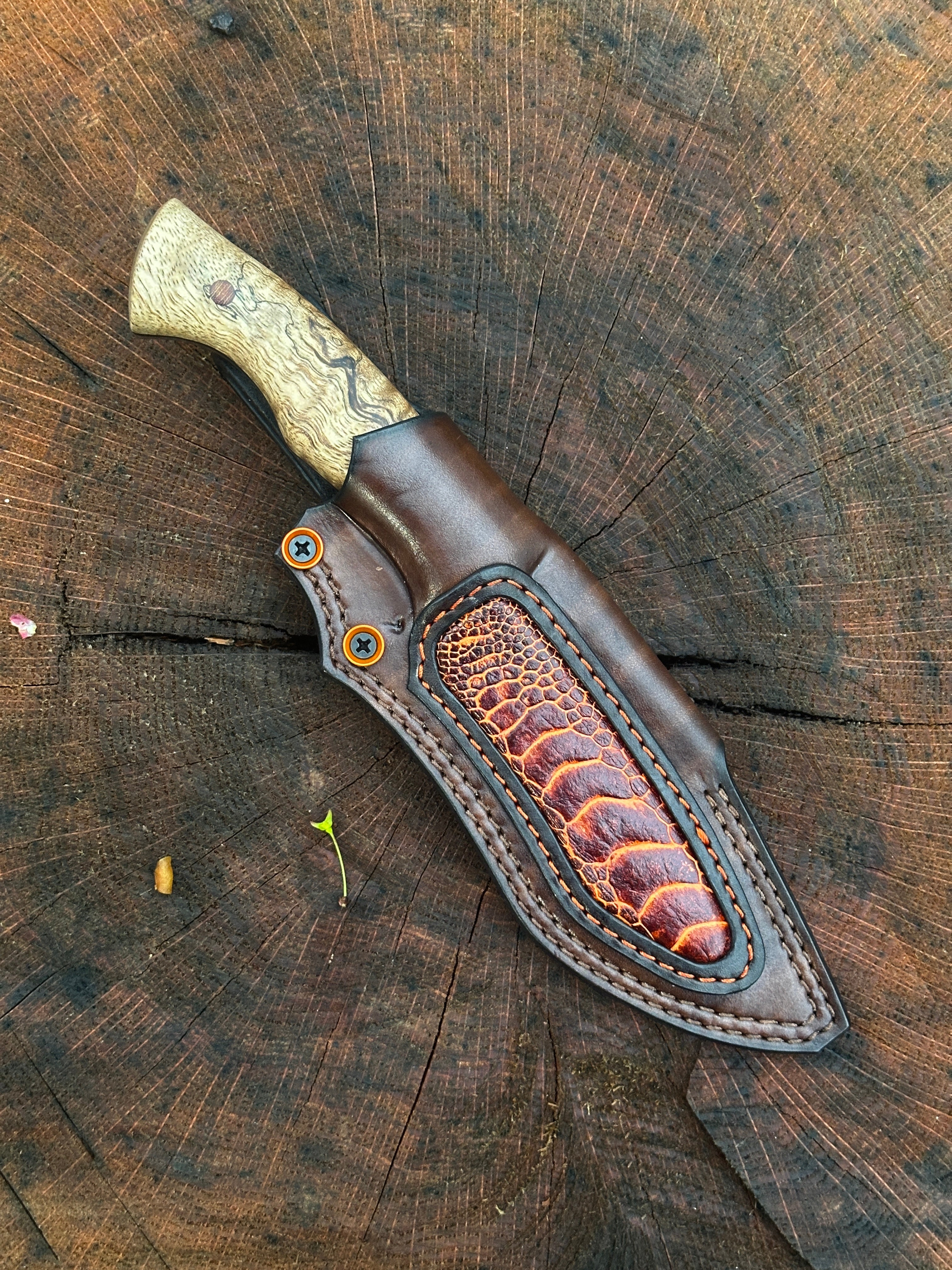 Arsenal Edge One-Off Custom Recurve