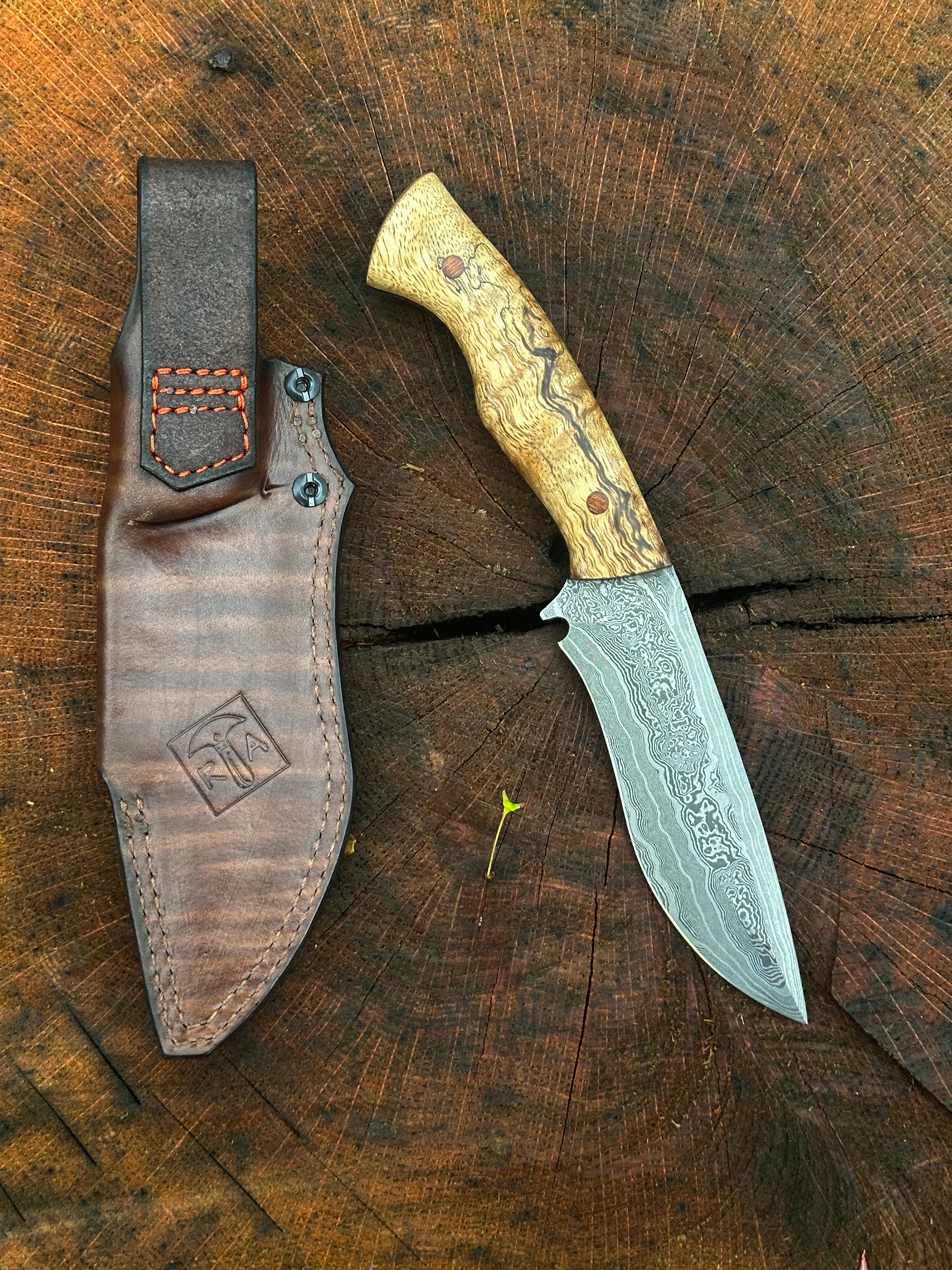 Arsenal Edge One-Off Custom Recurve