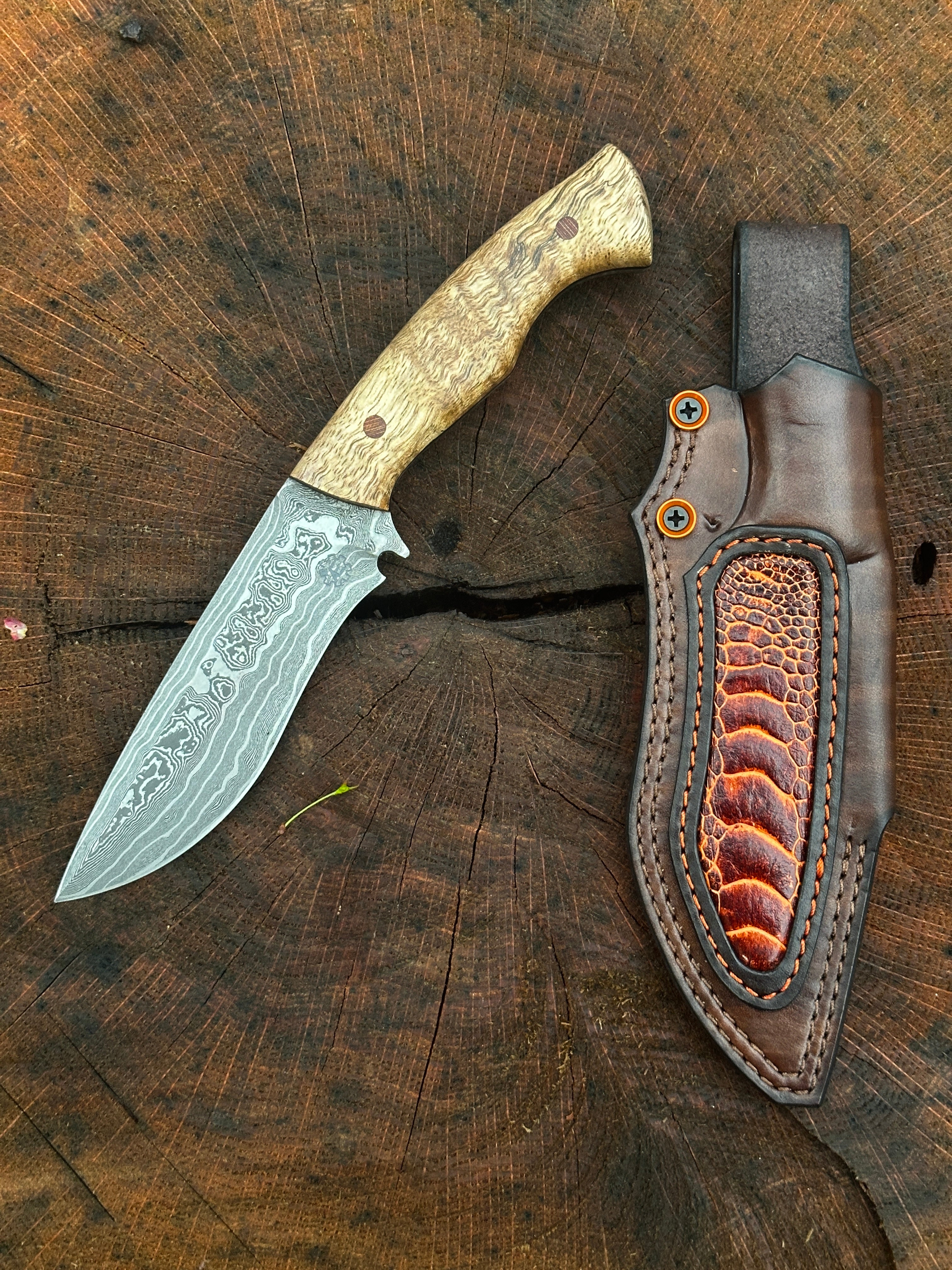 Arsenal Edge One-Off Custom Recurve