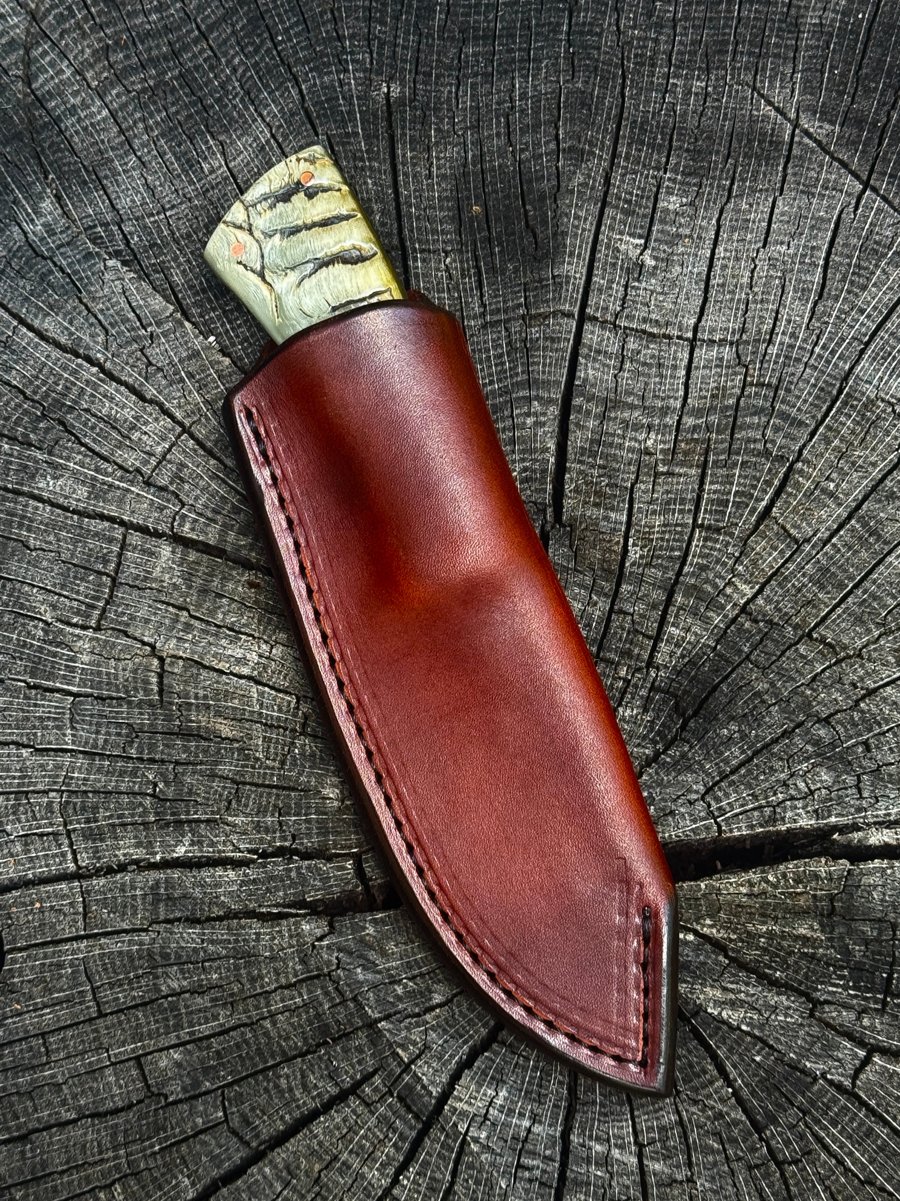 FRONTIER MAVERICK #2